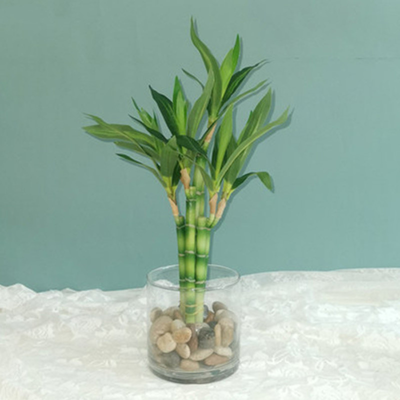 New 40cm rFtificial Lucky Bamb - Desk Setup Green recension och pris