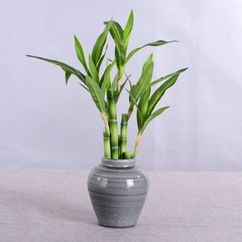 New 40cm rFtificial Lucky Bamb - Desk Setup Green recension och pris