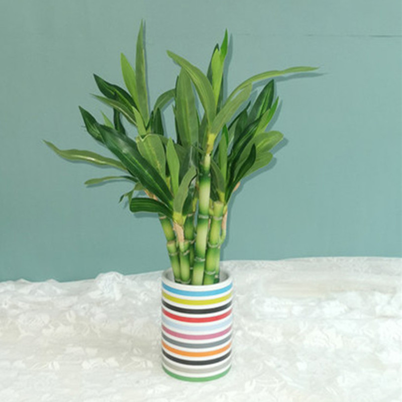 New 40cm rFtificial Lucky Bamb - Desk Setup Green recension och pris