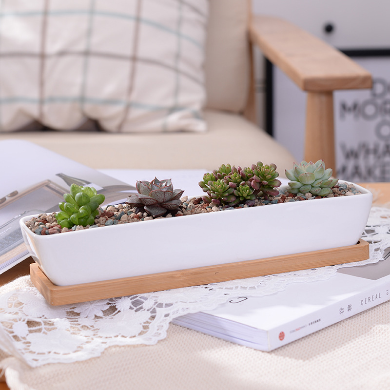 Long Rectangle White Ceramic S - Desk Setup Green recension och pris
